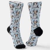 Chaussette Miniature American Shepherd Peinture MAS Chien Art (Angulaire)