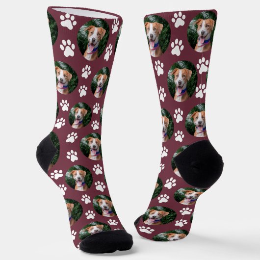 Chaussette Motif d'empreinte de patte de photo d'animal de co (Angulaire)