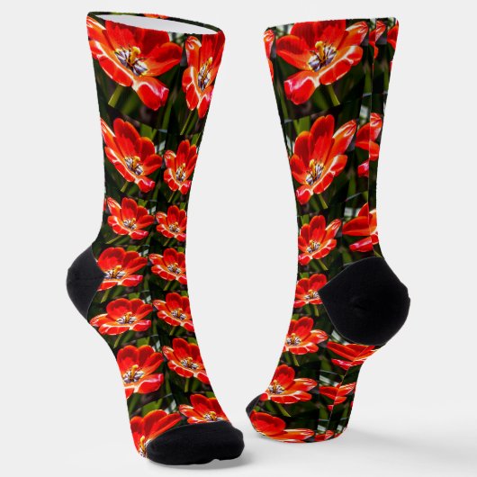 Chaussette Motif des Tulipes rouges (Angulaire)