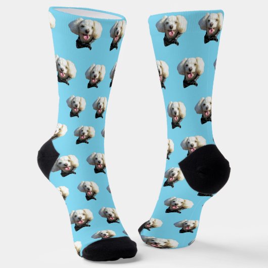 Chaussette Motif photo personnalisé Chien Chien Chien Chien C (Angulaire)