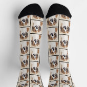 Chaussette Nederlandse Kooikerhondje Peinture Animal Chien Ar (Haut)