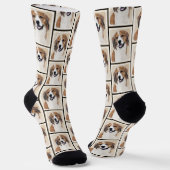 Chaussette Nederlandse Kooikerhondje Peinture Animal Chien Ar (Angulaire)
