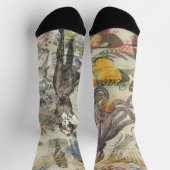 Chaussette Octopus Beach Antique Côte Steampunk (Haut)