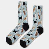 Chaussette Os bergers australiens et chaussettes pattes (Gauche)