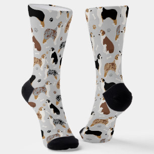Chaussette Os et pattes des bergers australiens