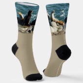 Chaussette Otaries de San Diego (Angulaire)