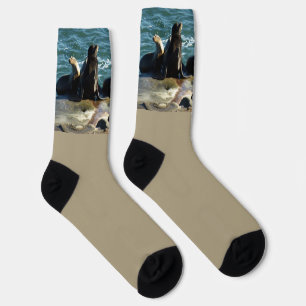 Chaussette Otaries de San Diego