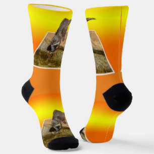 Chaussette **"Otter Popout : Un regard ludique sur la vie flu