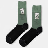 Chaussette Ours regardant sur le mur, Dark Pastel Green (Gauche)