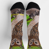 Chaussette Owl Socks (Haut)