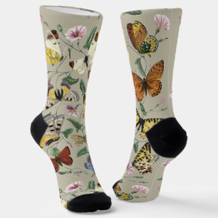 Chaussette Papillon de nuit vintage 1842 Art botanique floral