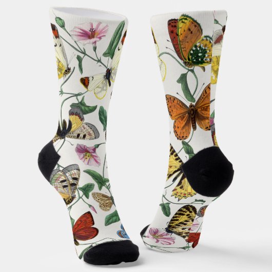 Chaussette Papillons & Moths 2 (Angulaire)