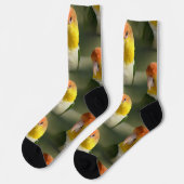 Chaussette Parrot caïque à ventre blanc mou (Gauche)