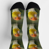 Chaussette Parrot caïque à ventre blanc mou (Haut)