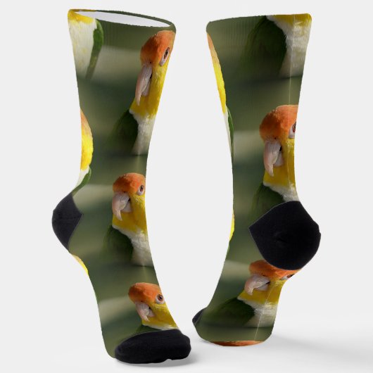 Chaussette Parrot caïque à ventre blanc mou (Angulaire)