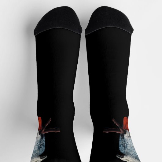 Chaussette Parrot Socks Personalized African Grey Socks (Haut)