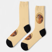 Chaussette Peinture américaine Kestrel - Art original pour oi (Gauche)