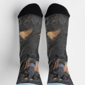 Chaussette Peinture de Beauceron - Cute Original Chien Art (Haut)
