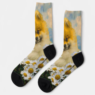 Chaussette Peinture de Pomeranian dans les Pâquerettes - Art