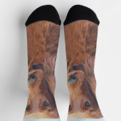 Chaussette Peinture de Setter irlandais - Joli art original d (Haut)