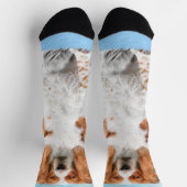 Chaussette Peinture d'espagnol Welsh Springer - Art original  (Haut)