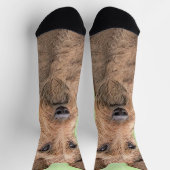 Chaussette Peinture Irlandaise Terrier - Cute Original Chien  (Haut)