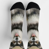 Chaussette Peinture Lapphund Finlandaise - Joli art original  (Haut)