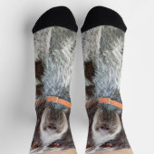 Chaussette Peinture Spinone Italiano - Belle Art Original Chi (Haut)