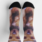 Chaussette Peinture sur la frontière de Terrier - jolie art o (Haut)