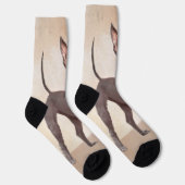 Chaussette Peinture Xoloitzcuintli - Cute Original Chien Art (Droite)