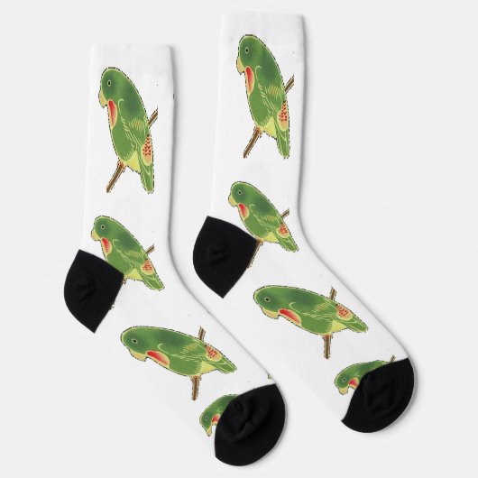 Chaussette Perruche Verte Tropicale Thunder_Cove (Droite)