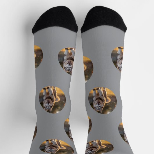 Chaussette Personalized Custom Photo Blob - Husky Dog Face (Haut)