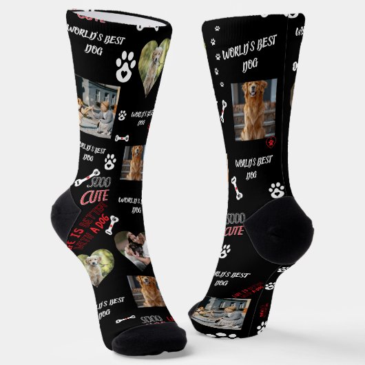 Chaussette Personalized Dog Photo Socks - Custom Name (Angulaire)