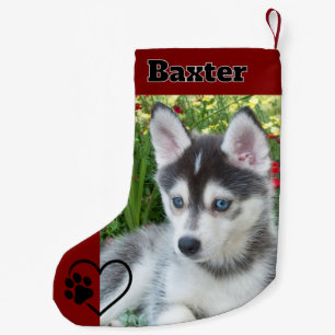 Chaussette personnalisée avec photo de chien rouge