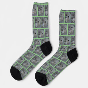 Chaussette Photo de chat et de chien sur mesure Elégant équip