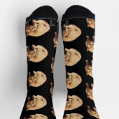 Chaussette Photo de chat roux mignon (Haut)