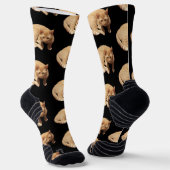Chaussette Photo de chat roux mignon (Angulaire)