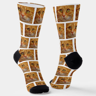 Chaussette Photo de chat Tabby Ginger personnalisée sur Chaus