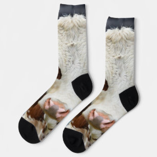 Chaussette Photo de vache de concours de bétail personnalisé