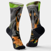 Chaussette Photo noire et teintée lisse Dachshund (Angulaire)