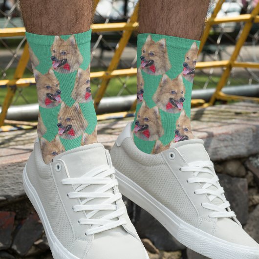 Chaussette Photo personnelle du visage de chien Mint vert mig