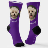 Chaussette Photo pour animaux de compagnie pour le propriétai (Angulaire)