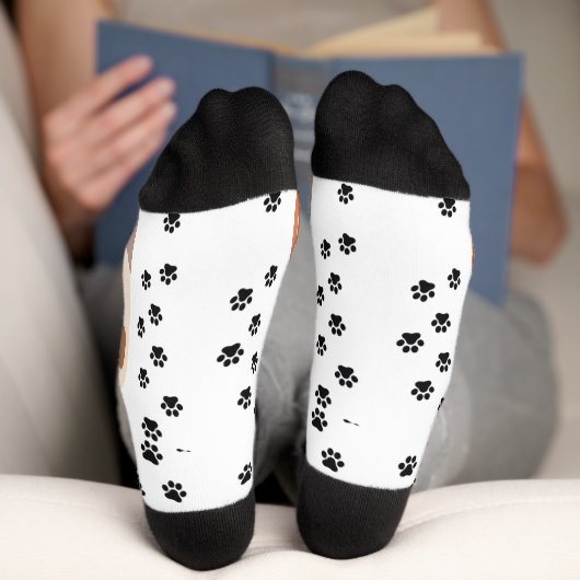 Chaussette pied de chat (Fond)