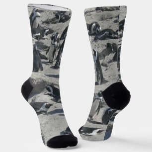 Chaussette Pingouins mignons sur des Chaussettes d'équipage d