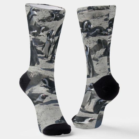 Chaussette Pingouins mignons sur des Chaussettes d'équipage d (Angulaire)