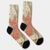 Chaussette Plan de Paris (Droite)