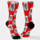 Chaussette Polar Bear Pattern Design On Red