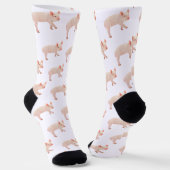 Chaussette Porc (Angulaire)