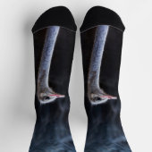 Chaussette portrait d'autruche (Haut)