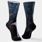 Chaussette portrait d'autruche (Angulaire)